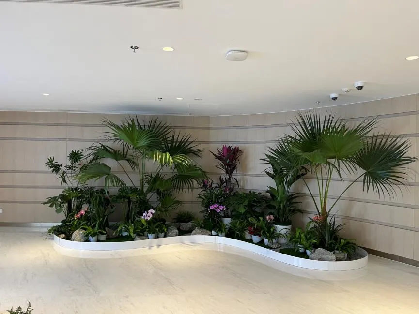 奉化植物租赁设计 奉化植物租赁设计